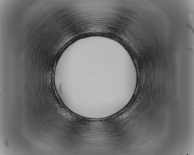 X0000094381017200711301355