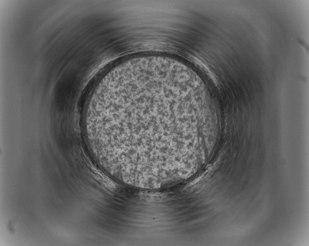 X0000094381019200711301355