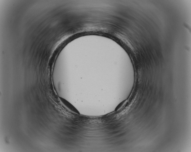 X0000094381021200711301355