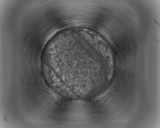 X0000094381023200711301356