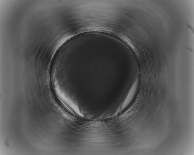 X0000094381024200711301356