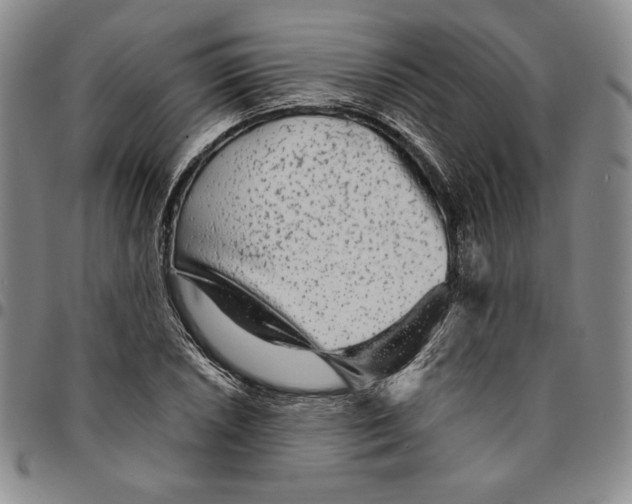 X0000094381026200711301356