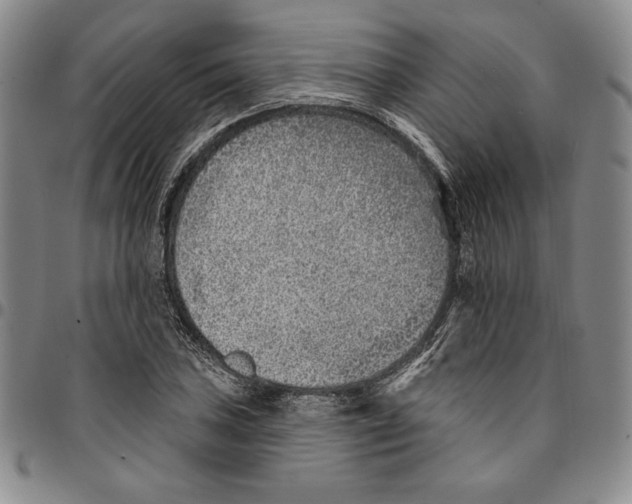X0000094381027200711301356