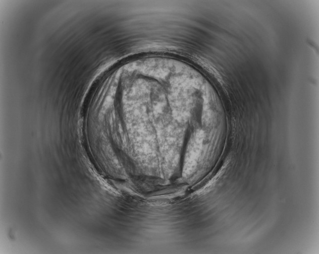 X0000094381029200711301356