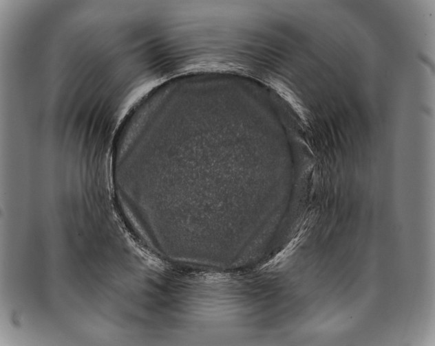X0000094381030200711301356