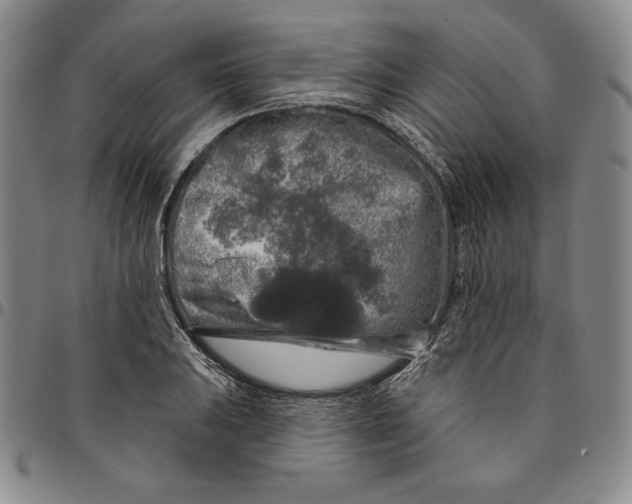 X0000094381031200711301356