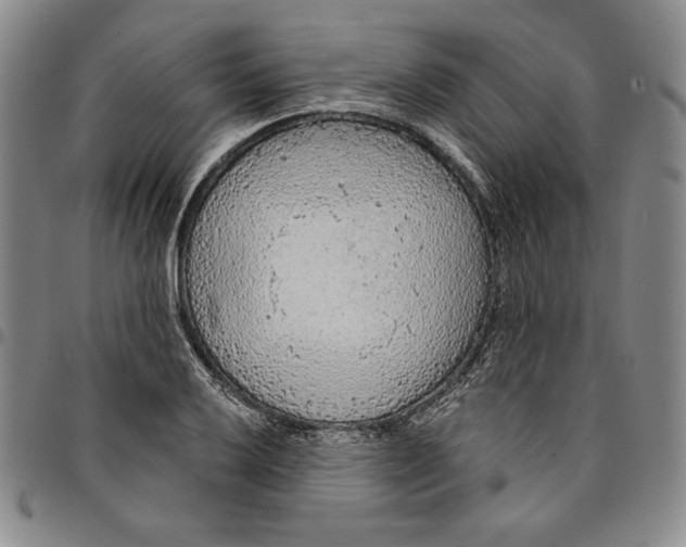 X0000094381032200711301356