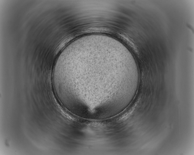 X0000094381033200711301356