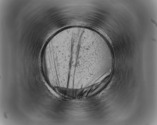 X0000094381037200711301356