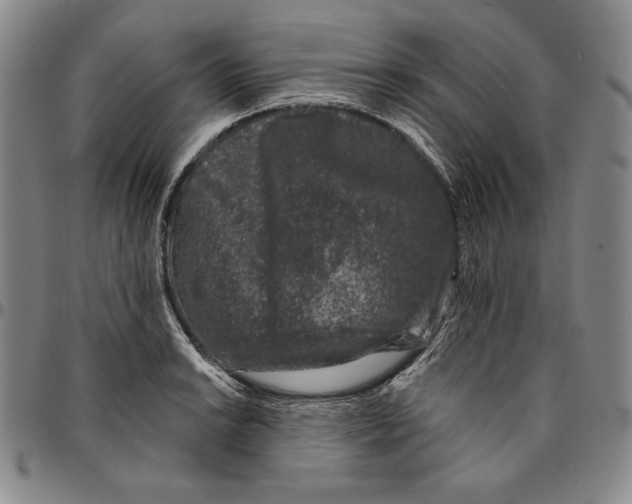 X0000094381038200711301356