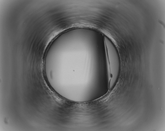 X0000094381040200711301356