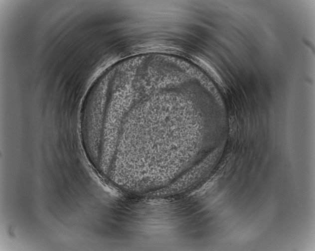 X0000094381043200711301356