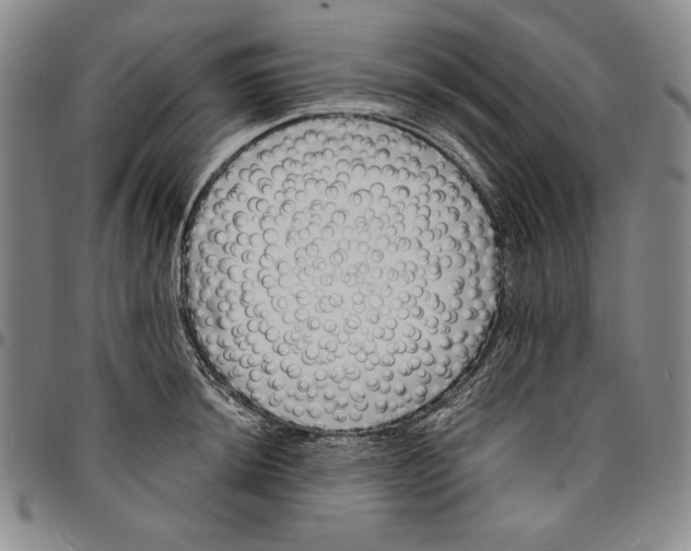 X0000094381044200711301356