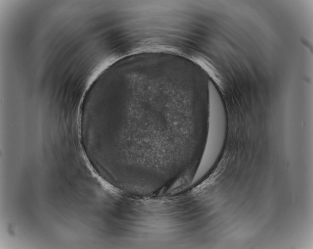 X0000094381046200711301356