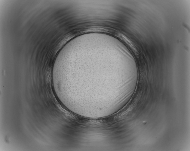 X0000094381049200711301356
