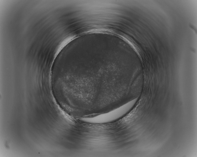 X0000094381050200711301356
