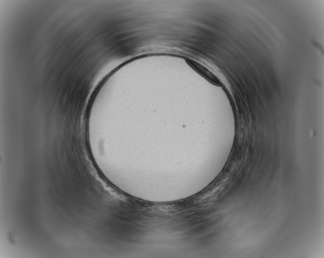 X0000094381053200711301356