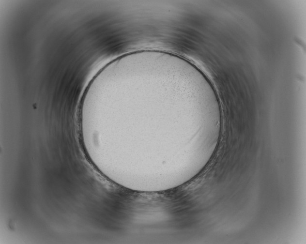 X0000094381056200711301356