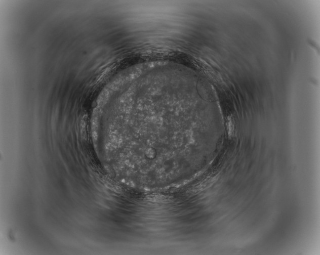 X0000094381059200711301355