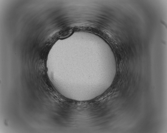 X0000094381062200711301355