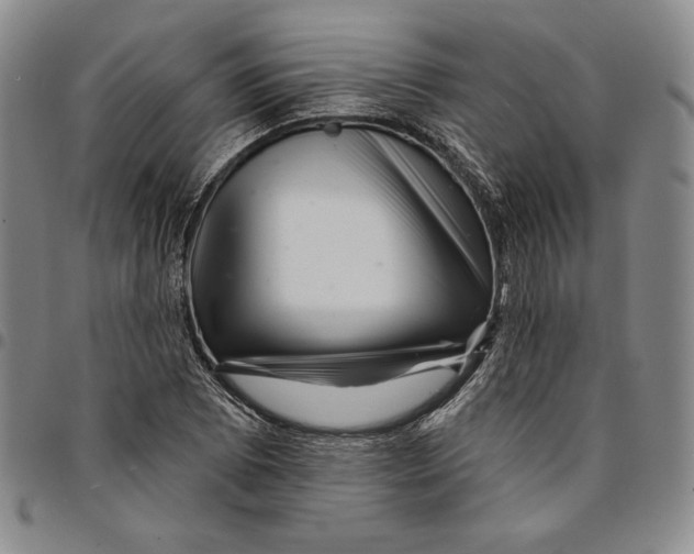 X0000094381073200711301355