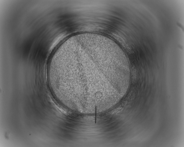 X0000094381078200711301355