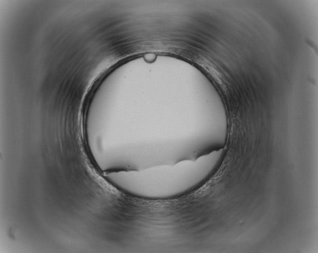 X0000094381080200711301355