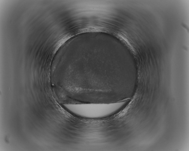 X0000094381081200711301355
