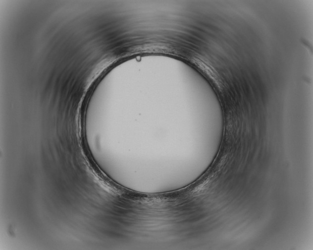 X0000094381082200711301355