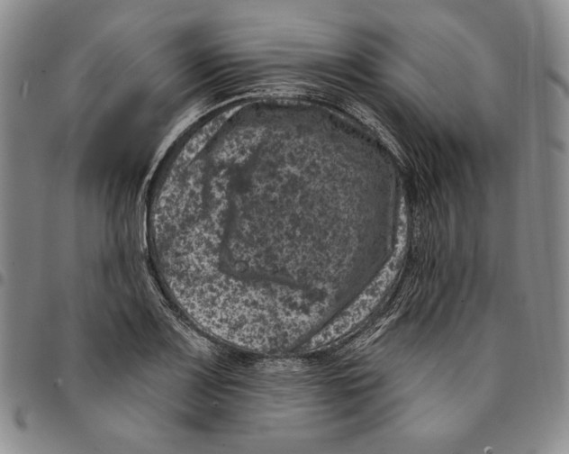 X0000094381083200711301355