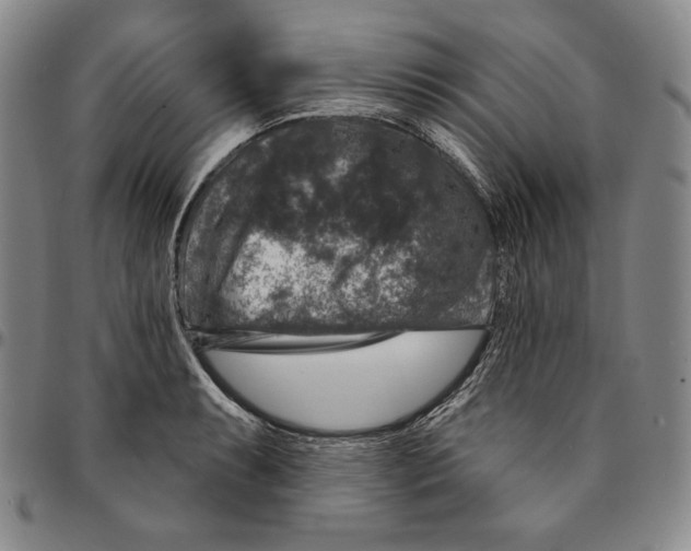 X0000094381087200711301355