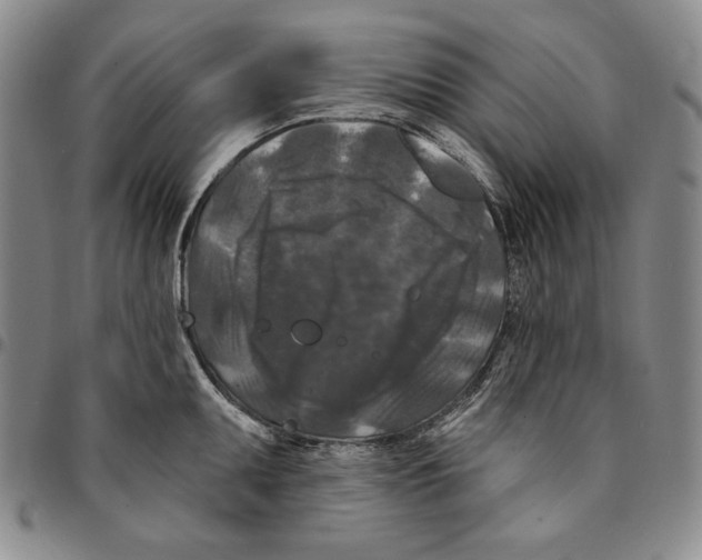 X0000094381095200711301355