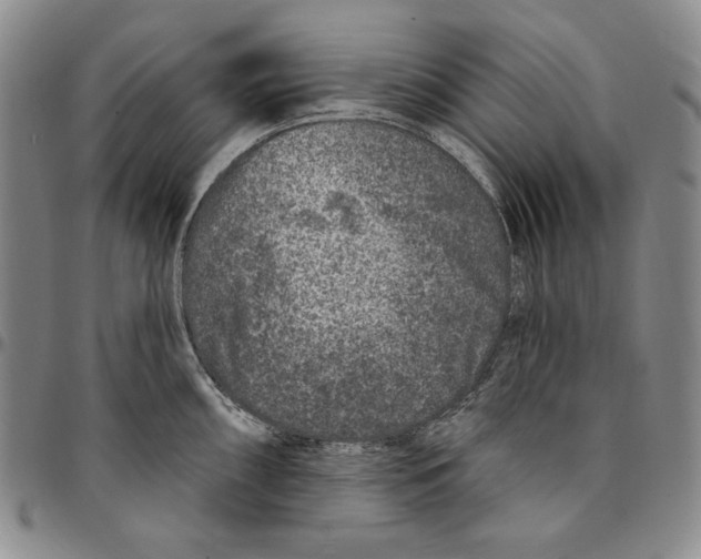 X0000094381098200711301355