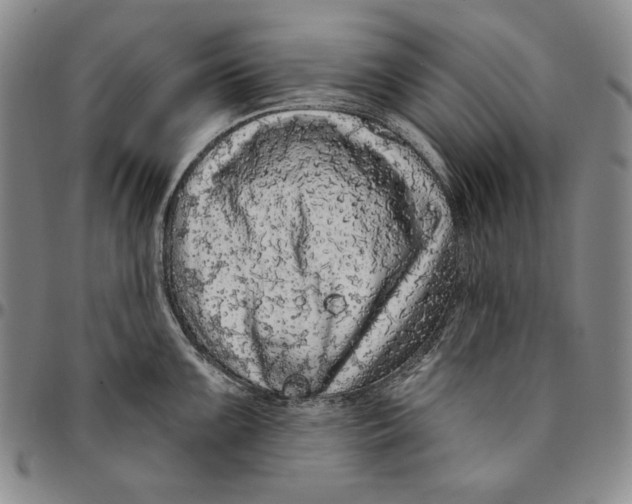 X0000094381099200711301355