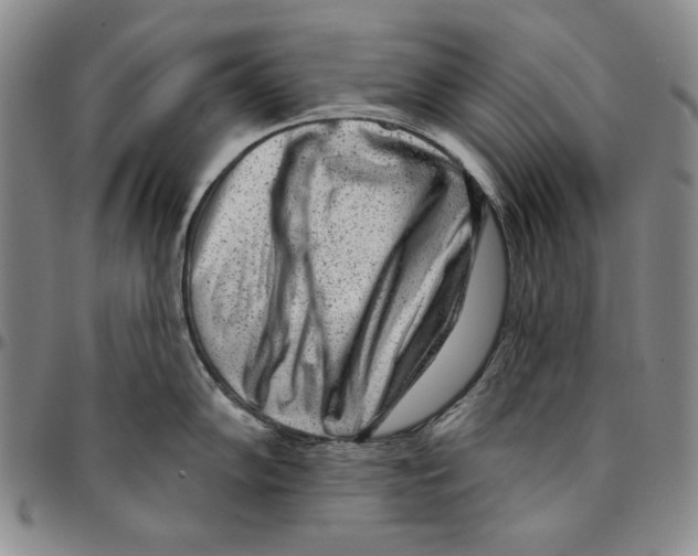 X0000094381102200711301355