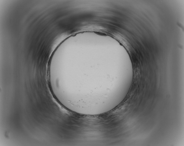 X0000094381103200711301355