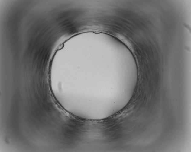 X0000094381104200711301355