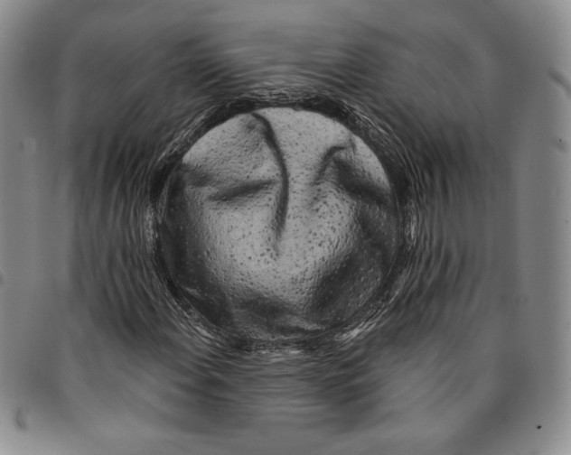X0000094381108200711301354