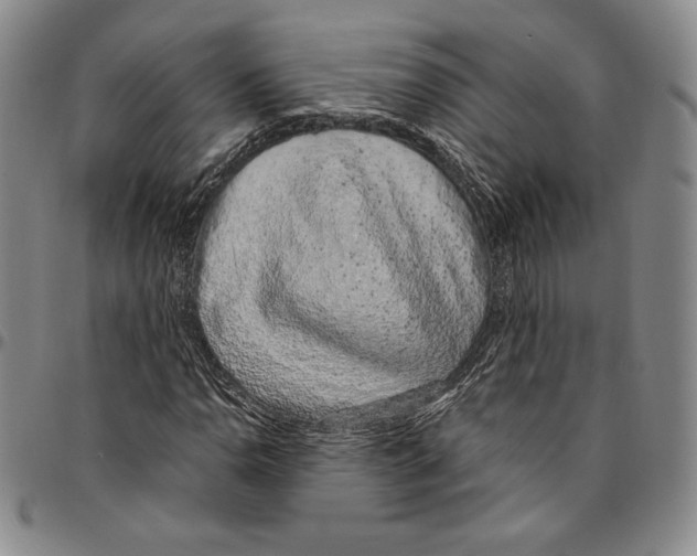 X0000094381110200711301354