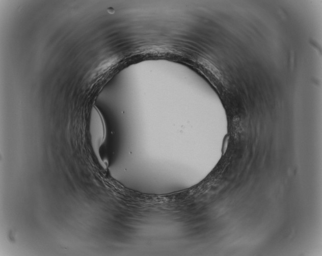 X0000094381111200711301354