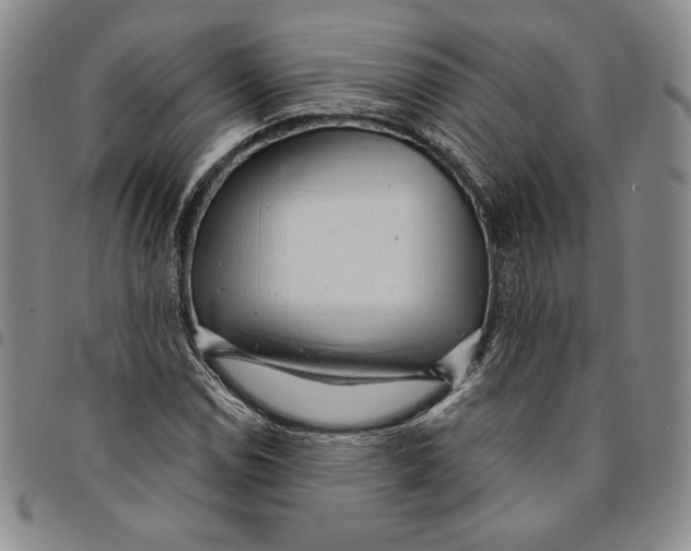 X0000094381114200711301354