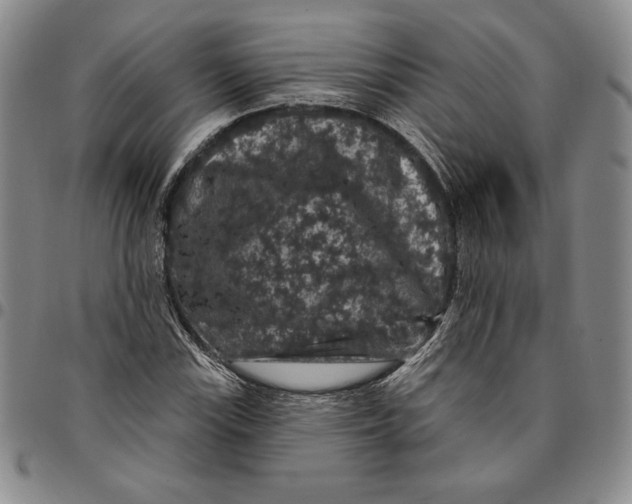 X0000094381115200711301354