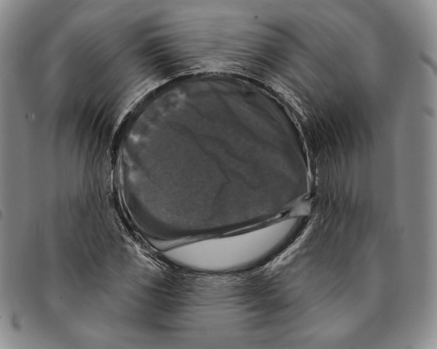X0000094381117200711301354