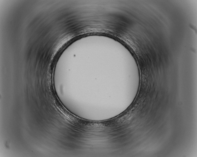 X0000094381119200711301354