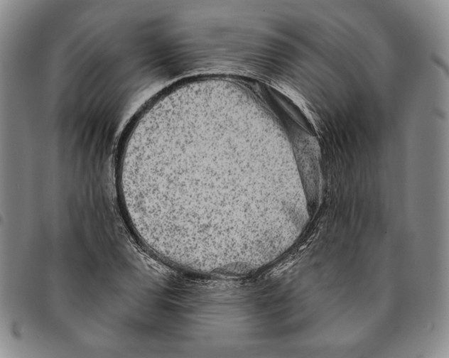 X0000094381120200711301354