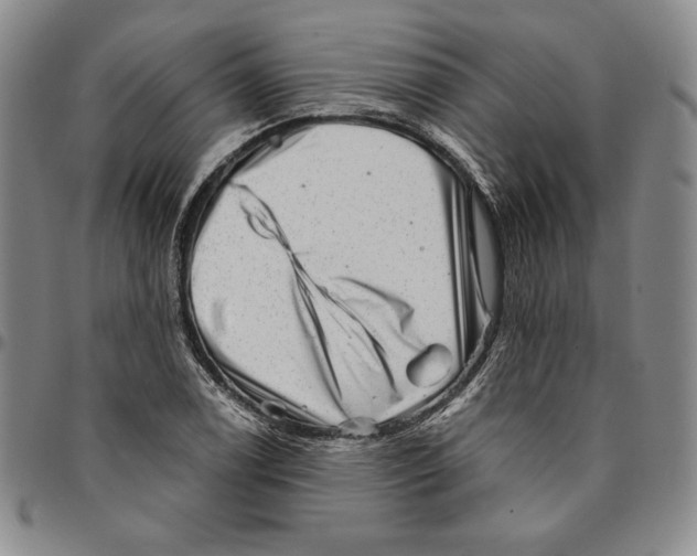 X0000094381122200711301354
