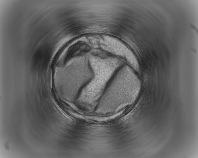 X0000094381123200711301354