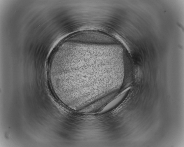 X0000094381124200711301354