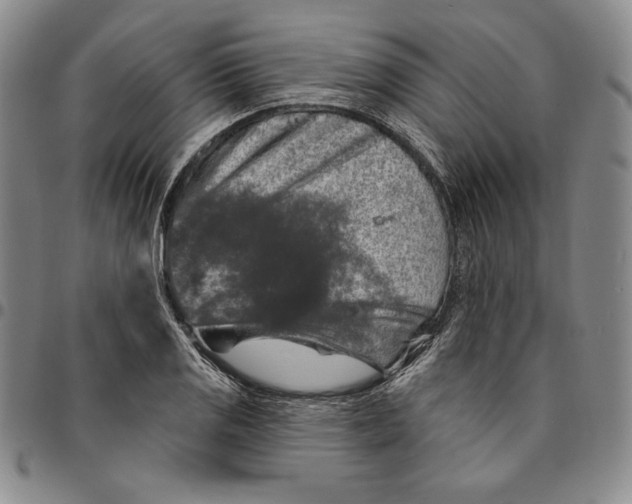X0000094381125200711301354