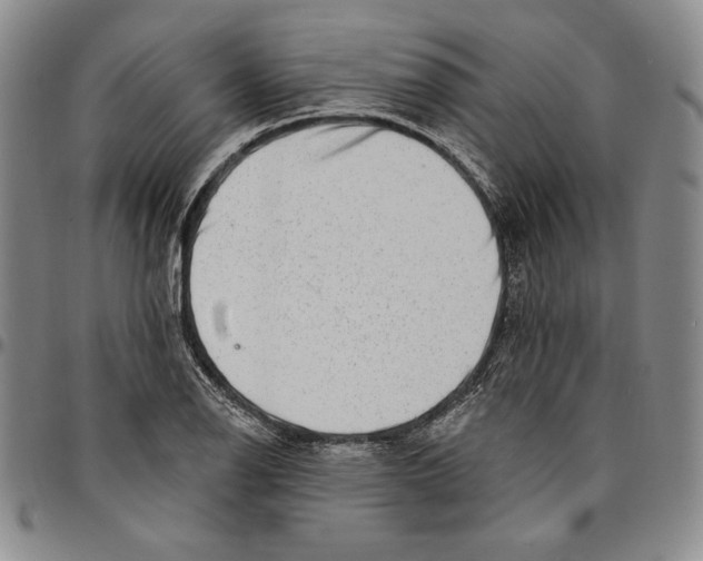 X0000094381126200711301354